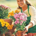 florists